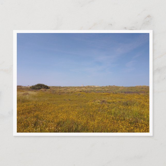 Postal Zahara de los Atunes (España) (Anverso)