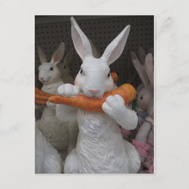 Postal Zanahoria Comer conejo (Anverso)