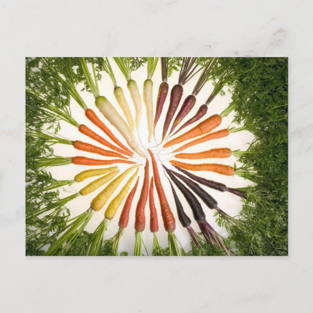 Postal Zanahorias de muchos colores (Anverso)