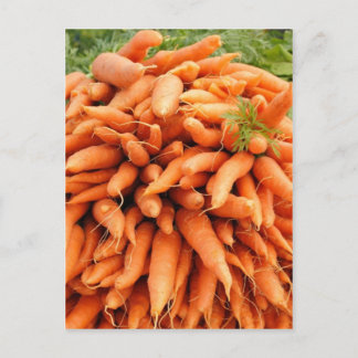 Postal Zanahorias en el mercado de los agricultores
