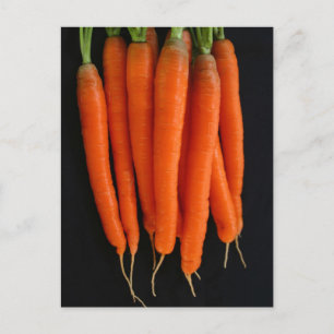Postal Zanahorias Frescas del Jardín