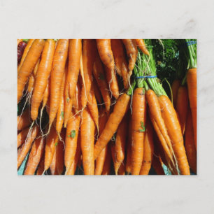 Postal Zanahorias Naranjas de Cosecha Fresca de la Granja