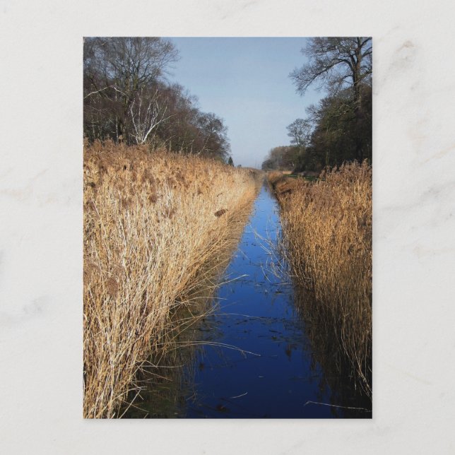 Postal Zanja de Holme Fen (Anverso)