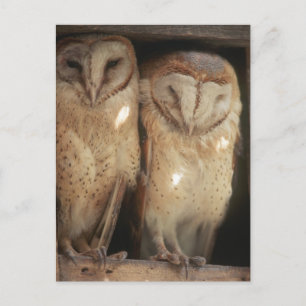 Postal Zanzíbar, Tanzania, África Oriental