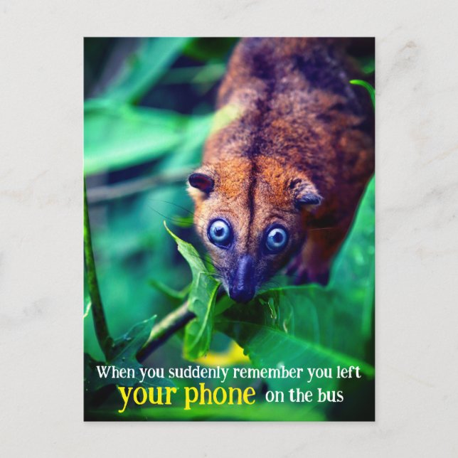 Postal Zarigüeya de ojos grandes (Anverso)