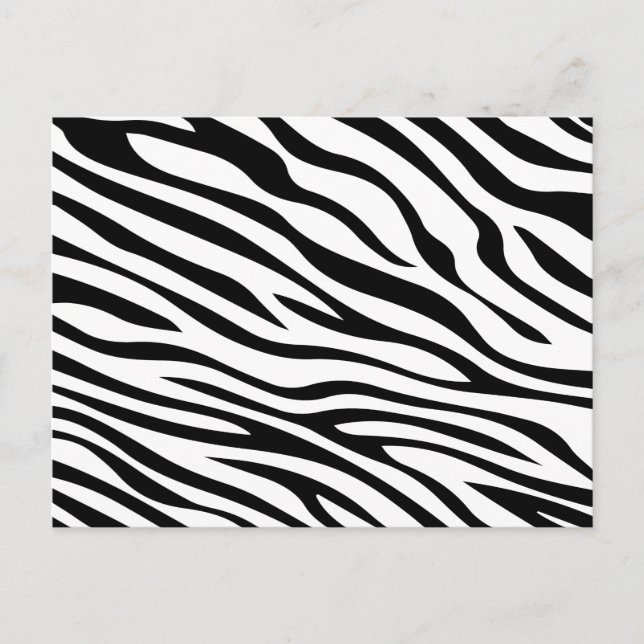 Postal Zebbra raya blanco y negro (Anverso)
