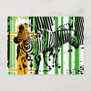 Postal Zebra