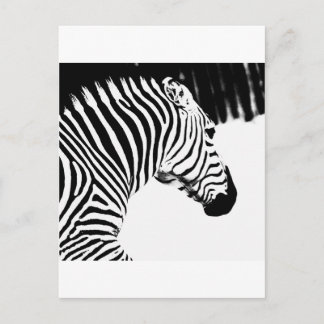 Postal Zebra
