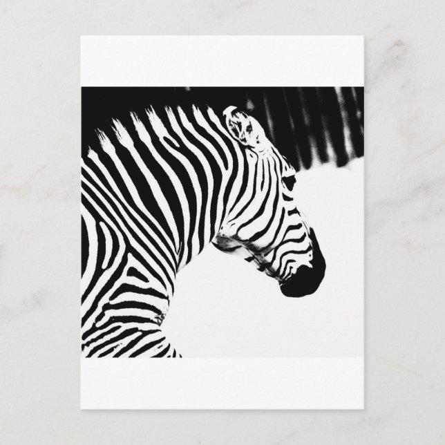 Postal Zebra (Anverso)