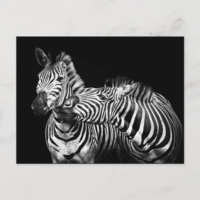 Postal Zebra (Anverso)
