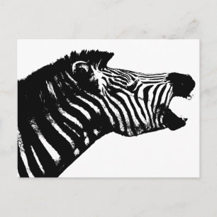 Postal Zebra