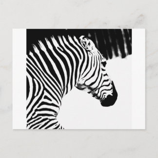 Postal Zebra