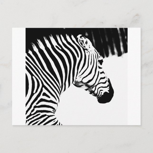Postal Zebra (Anverso)