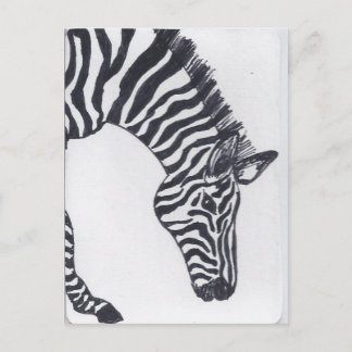Postal Zebra