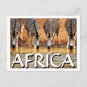 Postal ZEBRA AFRICANA - (Mojisola Onifade)