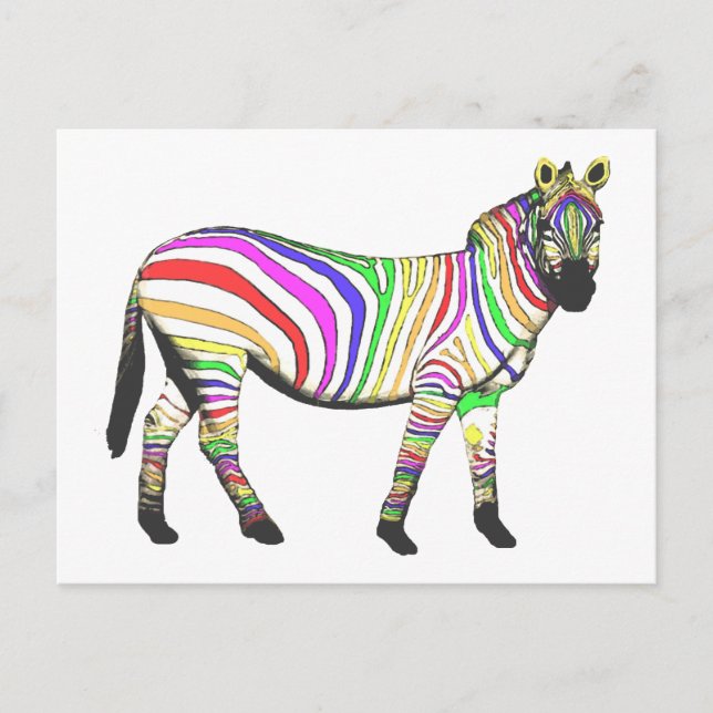 Postal Zebra arcoiris (Anverso)