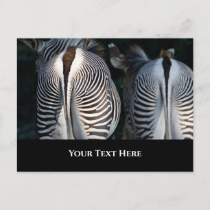 Postal Zebra Butts Funny Wildlife
