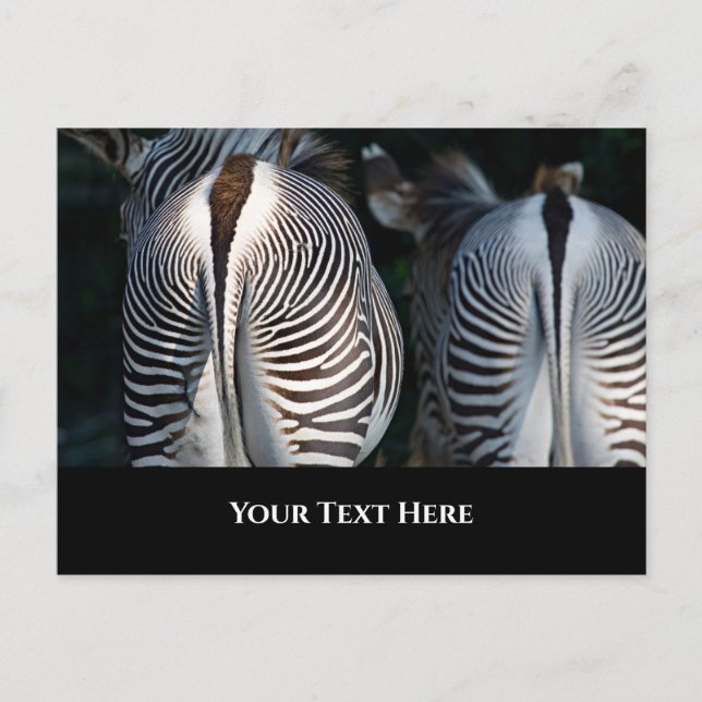 Postal Zebra Butts Funny Wildlife (Anverso)