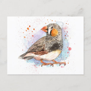 Postal Zebra Finch