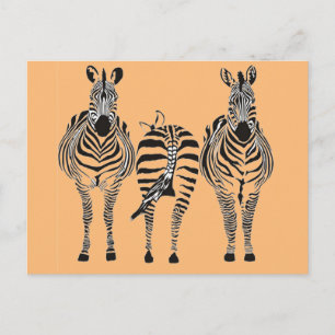 POSTAL ZEBRA HUMOR