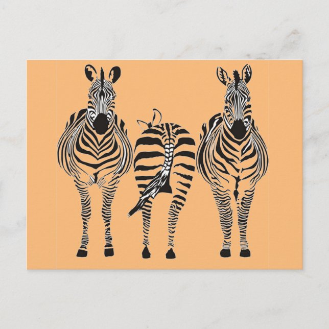 POSTAL ZEBRA HUMOR (Anverso)