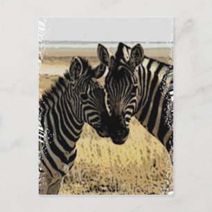 POSTAL ZEBRA LOVE