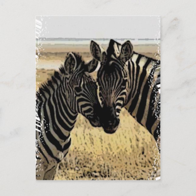 POSTAL ZEBRA LOVE (Anverso)