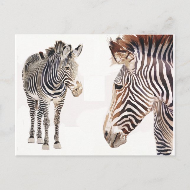 Postal "Zebra Pair" acuarela Arte de vida silvestre (Anverso)
