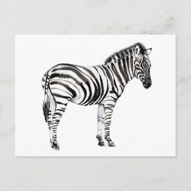 Postal Zebra permanente (Anverso)