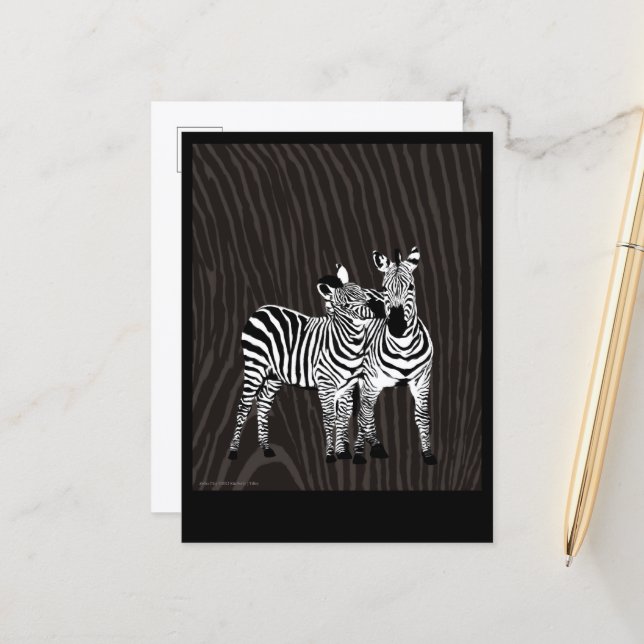 Postal Zebra Play (Anverso/Reverso In Situ)