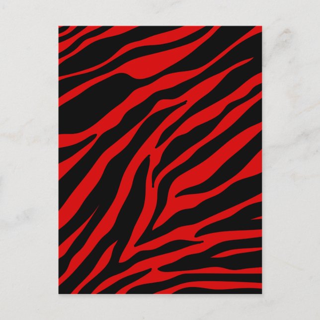 Postal zebra roja (Anverso)