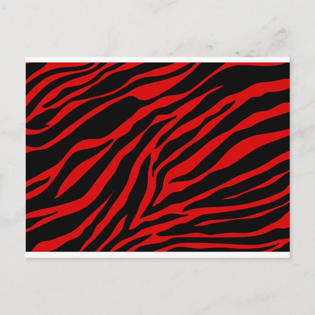 Postal zebra roja (Anverso)