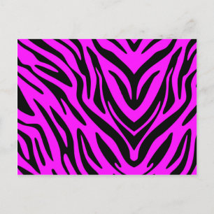 Postal Zebra rosa