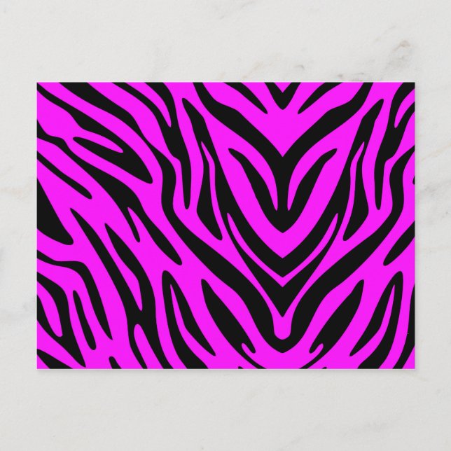 Postal Zebra rosa (Anverso)
