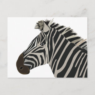 Postal Zebra Stripes Wildlife Animal