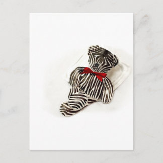 Postal Zebra Teddy