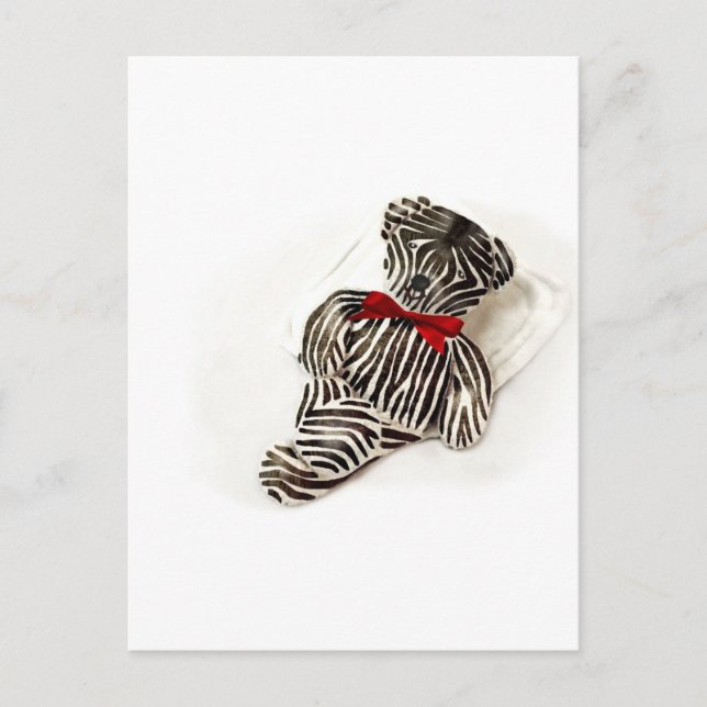 Postal Zebra Teddy (Anverso)