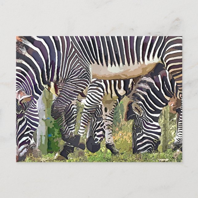 POSTAL ZEBRAS (Anverso)