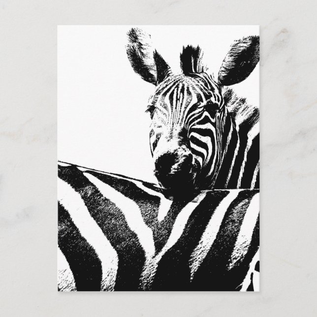 Postal Zebras (Anverso)