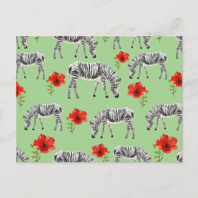 Postal Zebras entre flores de Hibiscus (Anverso)