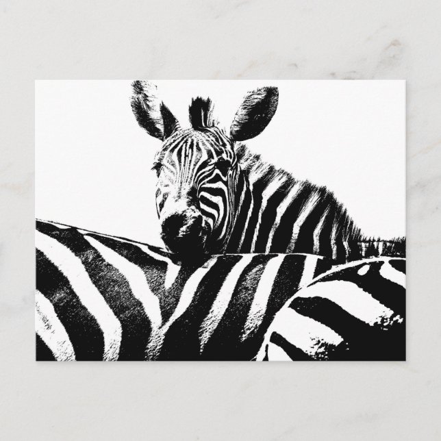 Postal Zebras modernas de arte pop negro y blanco (Anverso)