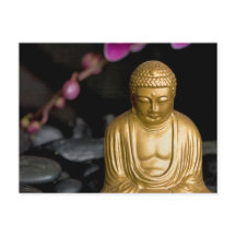 Zen Harmony