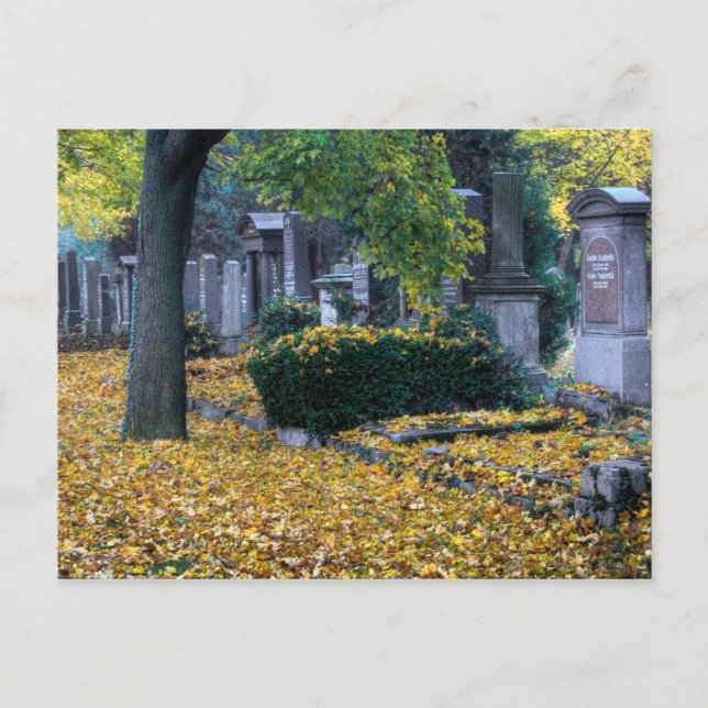 Postal Zentralfriedhof (Anverso)