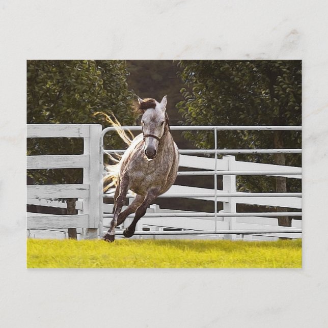 Postal Zest For Life (Anverso)