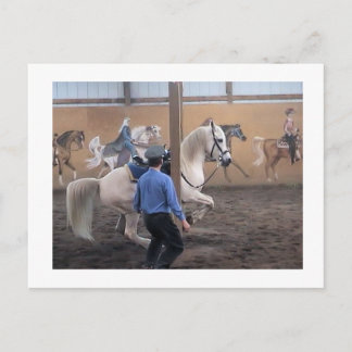 Postal Zeus, Levade en los pilares Postcard