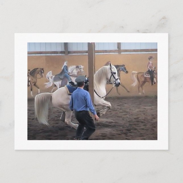 Postal Zeus, Levade en los pilares Postcard (Anverso)