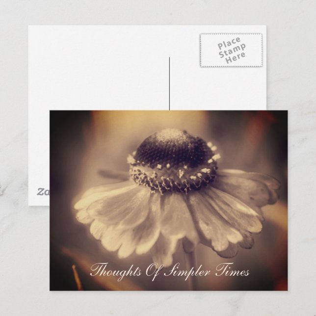 Postal Zinnia Flower Times Inspirador (Anverso / Reverso)