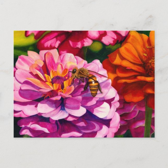 Postal Zinnias con abeja trabajadora (Anverso)