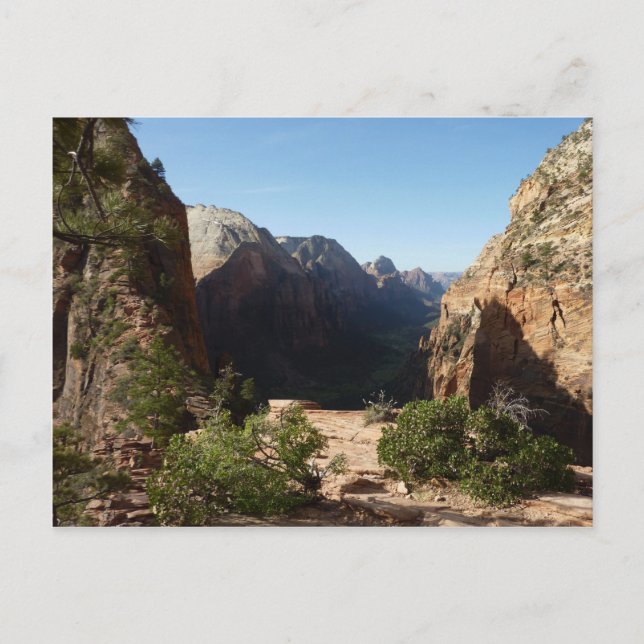 Postal Zion desde Angels Landing Trail Parque Nacional Zi (Anverso)
