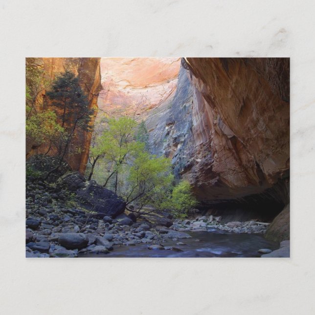 Postal Zion Narrows (Anverso)